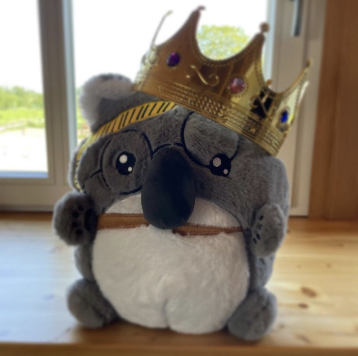dagilp_lbh's tweet photo. 🥰 - Herzenstweet - 🥰

Voller Stolz dafür ich euch bereits ankündigen, dass der #KoDAla am 1. September auf Hogwarts eingeschult wird &amp; ab diesem Tag für euch alle zu kaufen ist 🥰🥰👉👈

Ein Video dazu folgt aber auch nochmal ☺️☺️ https://t.co/r2H74WFJAZ