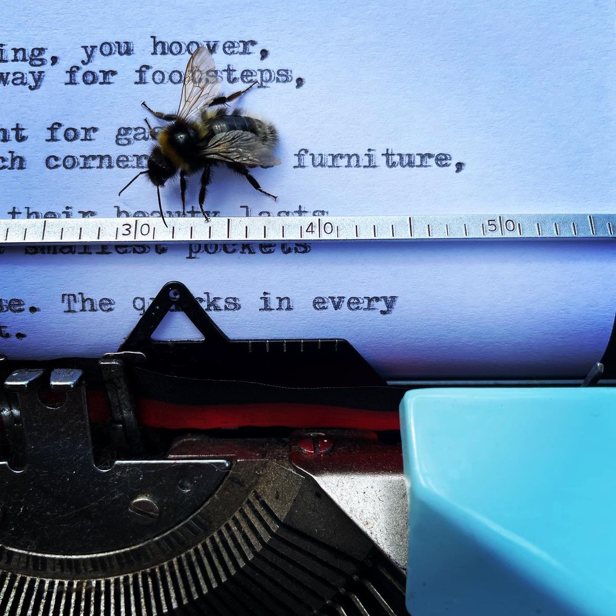 Beth Calverley (@bethcalverley) on Twitter photo Thank you to all who created poems with me yesterday <a href="/ntstourhead/">Stourhead</a> <a href="/NTSouthWest/">National Trust South West</a> <a href="/nationaltrust/">National Trust</a> 💚 I could tell Stourhead has put conservation at its heart by the curious insects that graced The Poetry Machine - bee, ladybird, dragonfly, butterfly, spider and many tiny flies! 🕸 Thank you to all who created poems with me yesterday <a href="/ntstourhead/">Stourhead</a> <a href="/NTSouthWest/">National Trust South West</a> <a href="/nationaltrust/">National Trust</a> 💚 I could tell Stourhead has put conservation at its heart by the curious insects that graced The Poetry Machine - bee, ladybird, dragonfly, butterfly, spider and many tiny flies! 🕸
