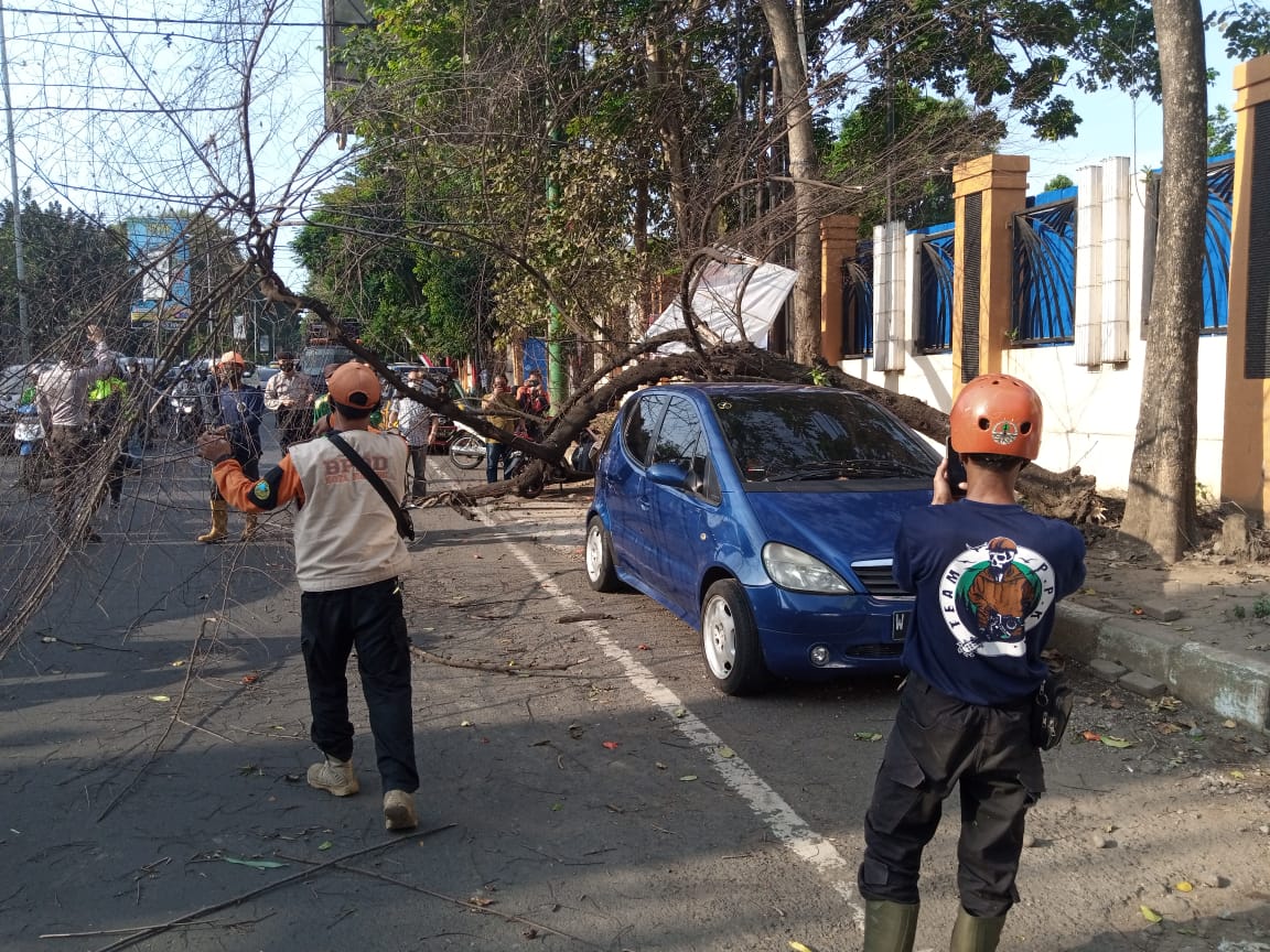 [INFO KEJADIAN]
Pohon sudah lapuk dan dipicu angin tumbang📍didepan RSSA Jl. Jaksa Agung Suprapto menimpa sebuah mobil yang terparkir. Sedang proses evakuasi mohon untuk tetap berhati² saat melintas.

#Infokejadian
#Infobencana
#Pohontumbang