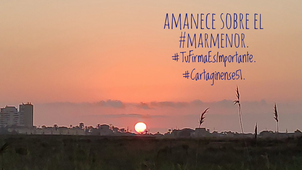 Ángel José tweet media