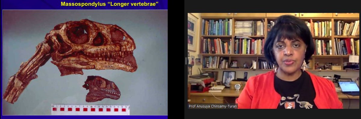 Quest Science for SA tweet media