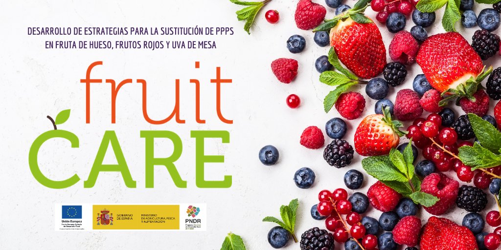 fruit_CARE's tweet photo. 🍑🍇 #FruitCARE 🍓🍑

📋🇪🇺 The purpose of integrating the FruitCare Operational Group arises from the elaboration by @EFSA_EU of the list of Candidates for Substitution Active Ingredients (#CfS).

👀👉🏼 https://t.co/1N7uzmAJn2 https://t.co/Zf3FSCasWb