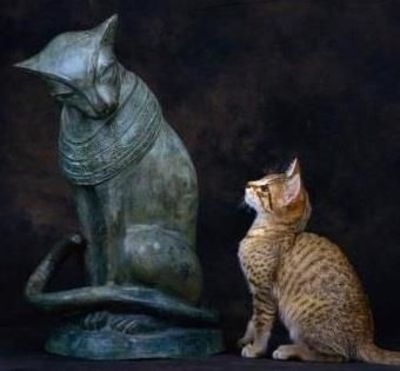 @MythologyMonday tweet media