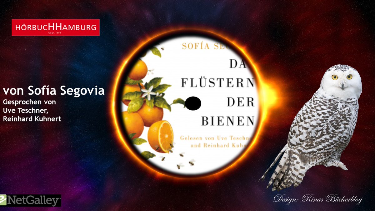 rinas.buecherblog tweet media