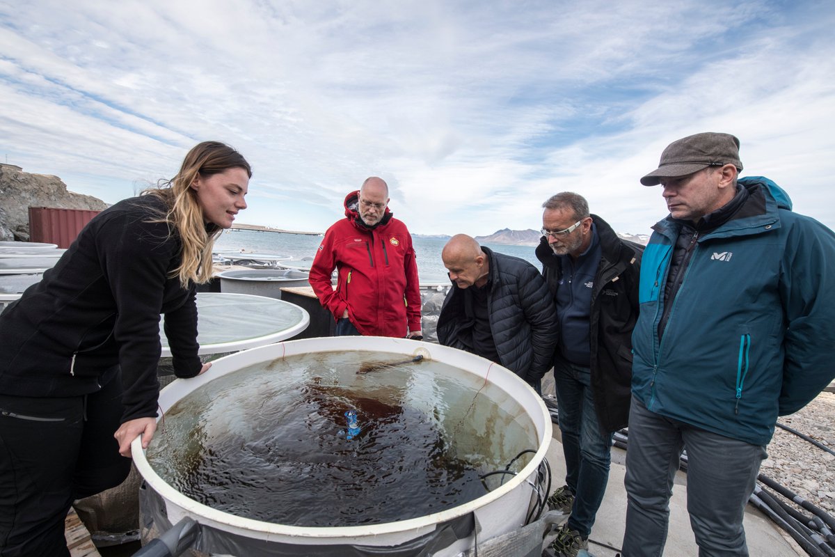 [RENDEZ-VOUS] En direct de l’#Arctique ! 🌊 En visite au KB Marine Lab, @ChappellazJ et @O_Poivre_dArvor , en profitent pour se renseigner sur les actuelles recherches en #biologiemarine soutenues par l’@_IPEV et l’AWI, avec notamment le projet ARCTOS, présent à #NyAlesund