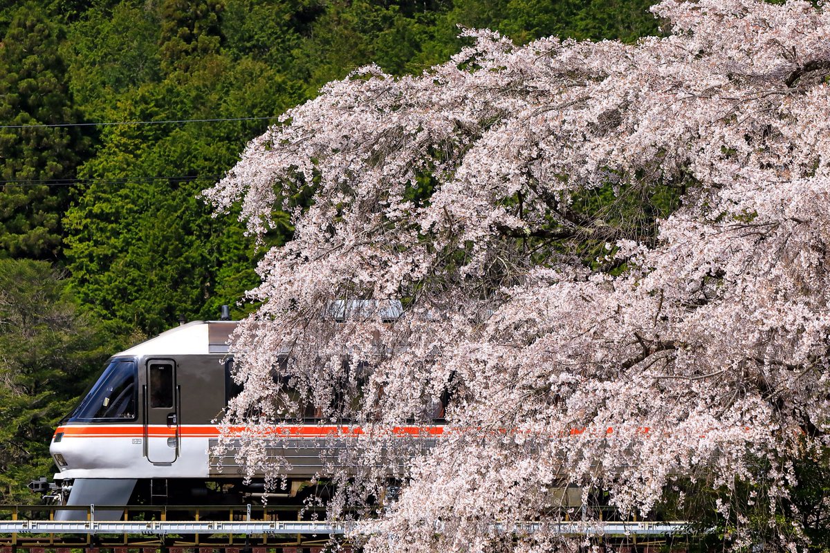 M Y Tbcn N3000 Twitter