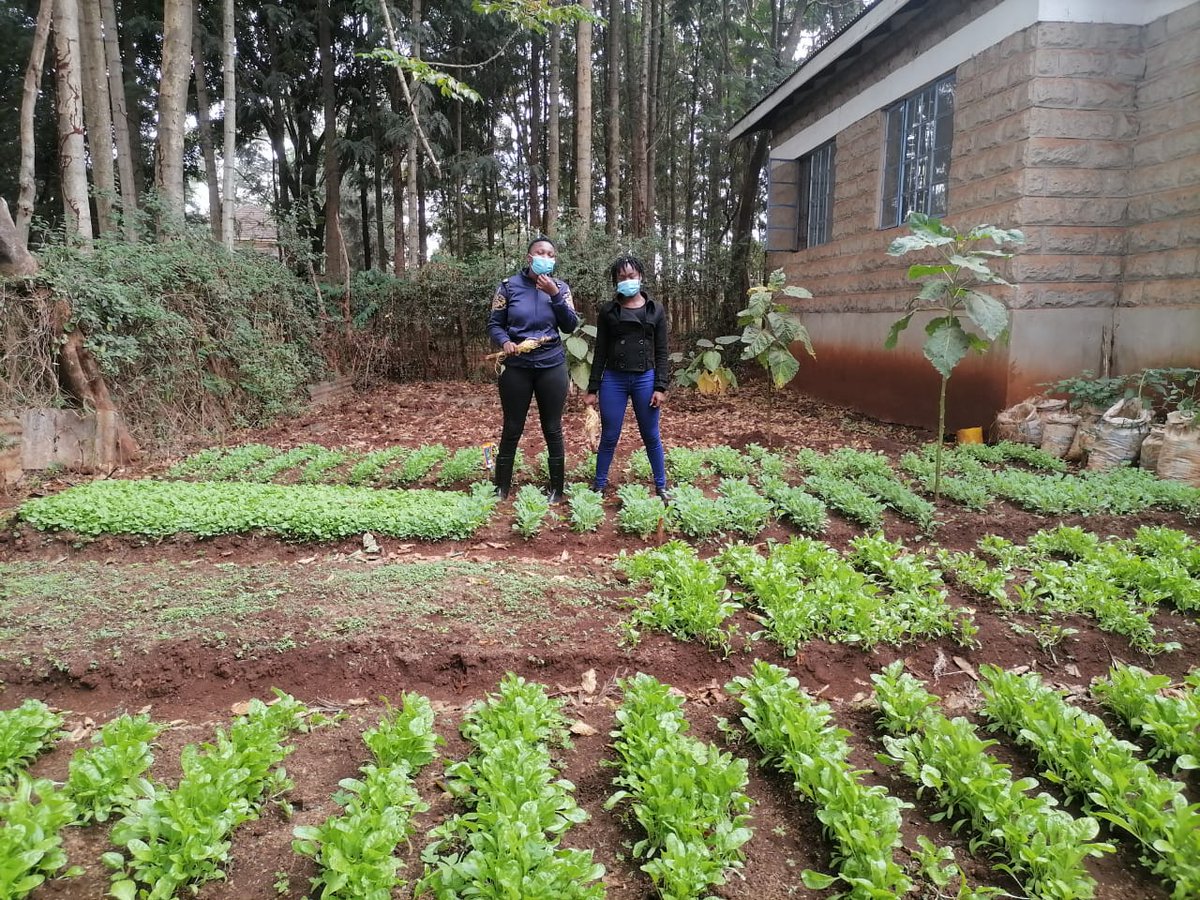 COSDEP KENYA tweet media