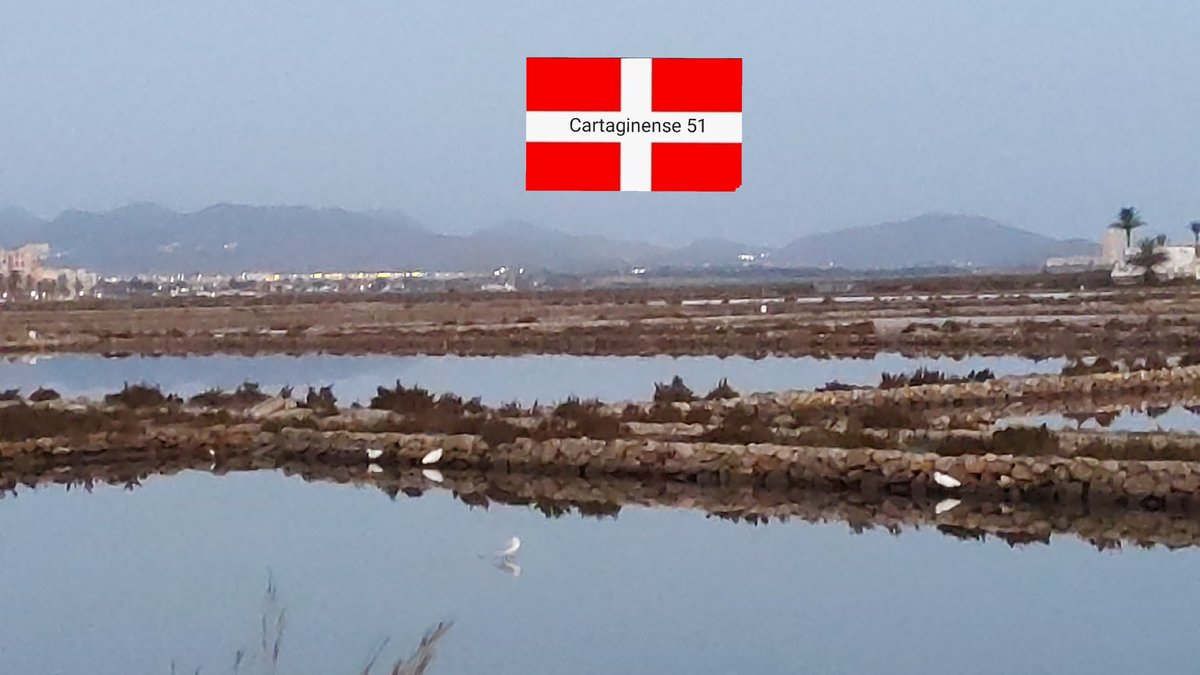 Cartaginense51 tweet media