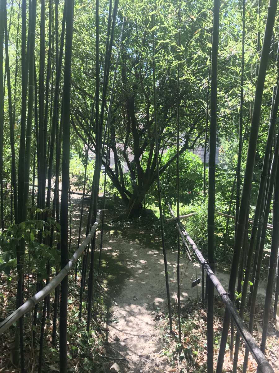 Maisonflorian's tweet photo. Les jardins de la Confiserie de Pont-du-Loup ✨ Vous pourrez y voir agrumes et fleurs, puis vous assoir pour déguster vos achats Florian avec la vue sur les Gorges du Loup 🌄 #CotedAzurFrance #100ansFlorian #Jardins #Provence https://t.co/hRzvlRZzMs