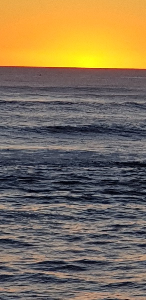 Diongroove's tweet photo. #plop π
β
#Shoplopdobalop π»
#sea π
#weeeeeeeeeeeed ππ
#DrIndianOcean π https://t.co/AAtFJt3rtd