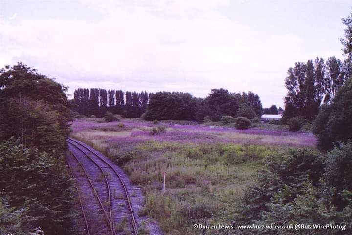 Few photos I shot in 2015 on 35mm film then digitized overlooking the train lines that pass lostock park from the parkway bridge #trafford #oldtrafford #traffordpark #stretford #manchester  no train tracks there anymore #