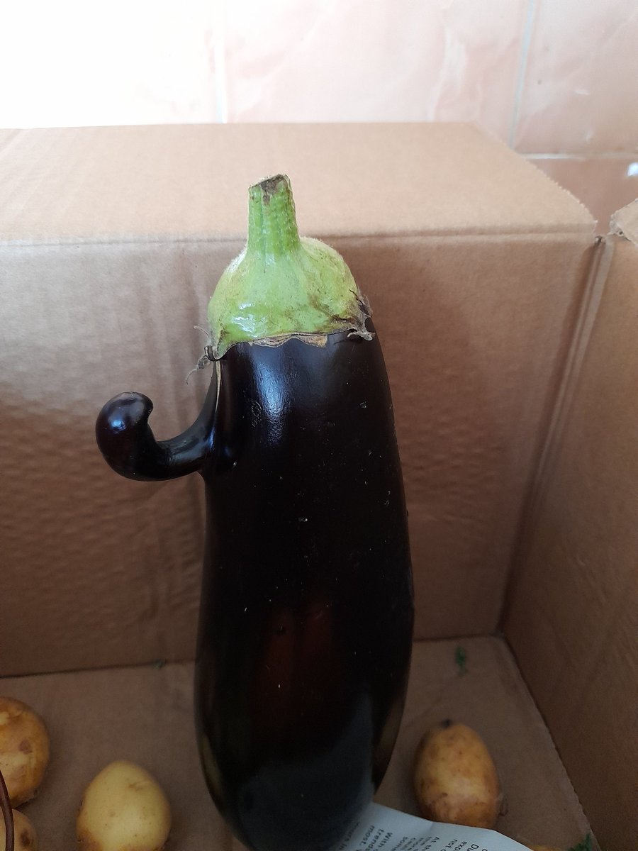 ParrisNotices's tweet photo. Greeted this morning by an angry aubergine from @OddboxLDN. It's trying to start something it can't finish. https://t.co/293sp24c6f