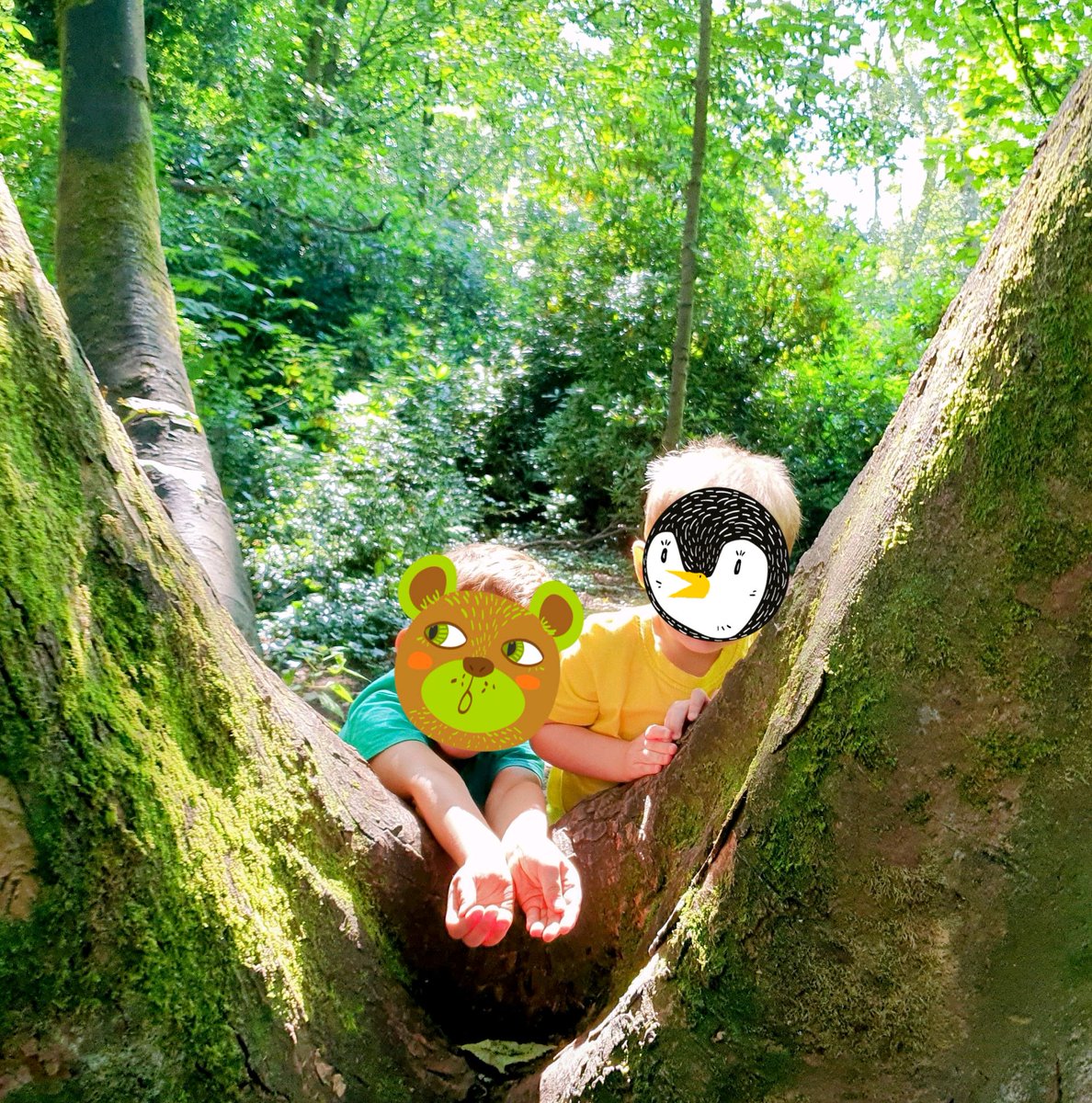 Chris Hannah-Marsden tweet media