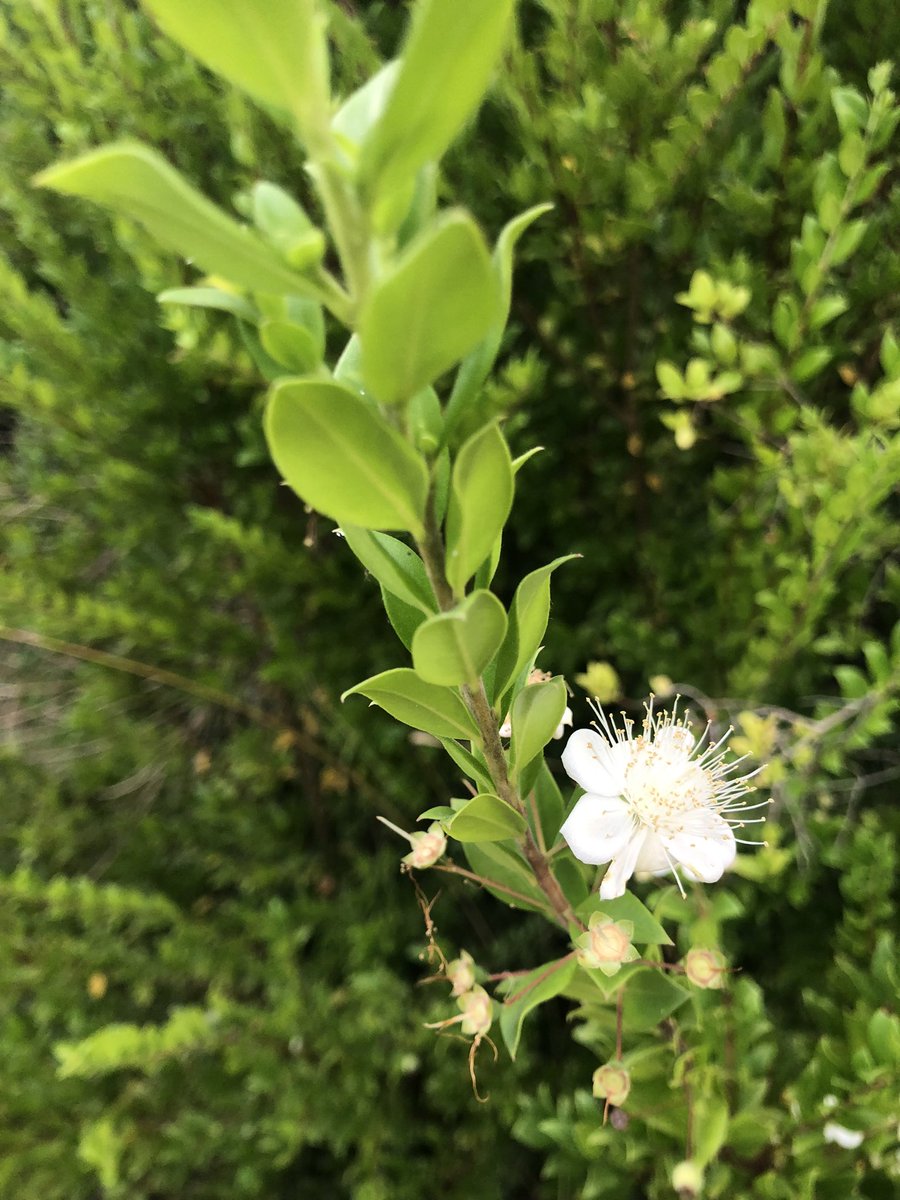 RealCHEB's tweet photo. Post a picture that YOU took, no description. The goal is to regain peace and harmony without the negativity. Please copy the text, put a picture on your page and let's look at these. https://t.co/uIT3Q2kMuo
