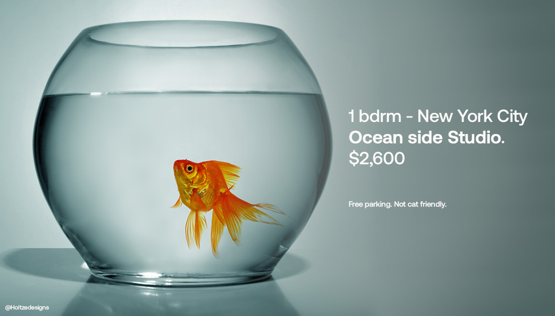 Holtzedesigns's tweet photo. A steal!
@OneMinuteBriefs #Fishtanks https://t.co/eqmBcm9Unm