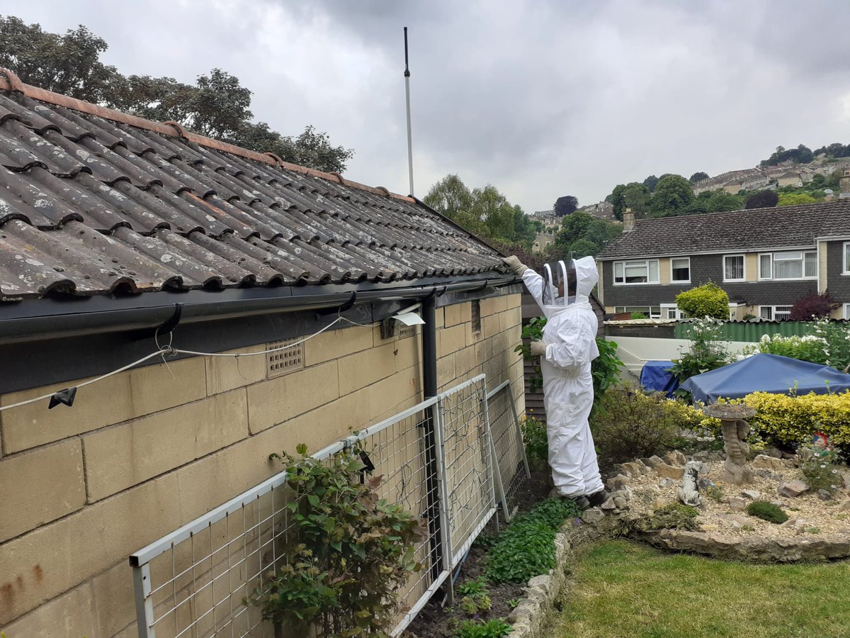 HortechS's tweet photo. Dan and James (two thirds of the dream team) in #Bath this morning to carry out some wasp control.

It's that time of year, keep your eyes peeled.

#pestcontrol https://t.co/lN6FxIpLGB