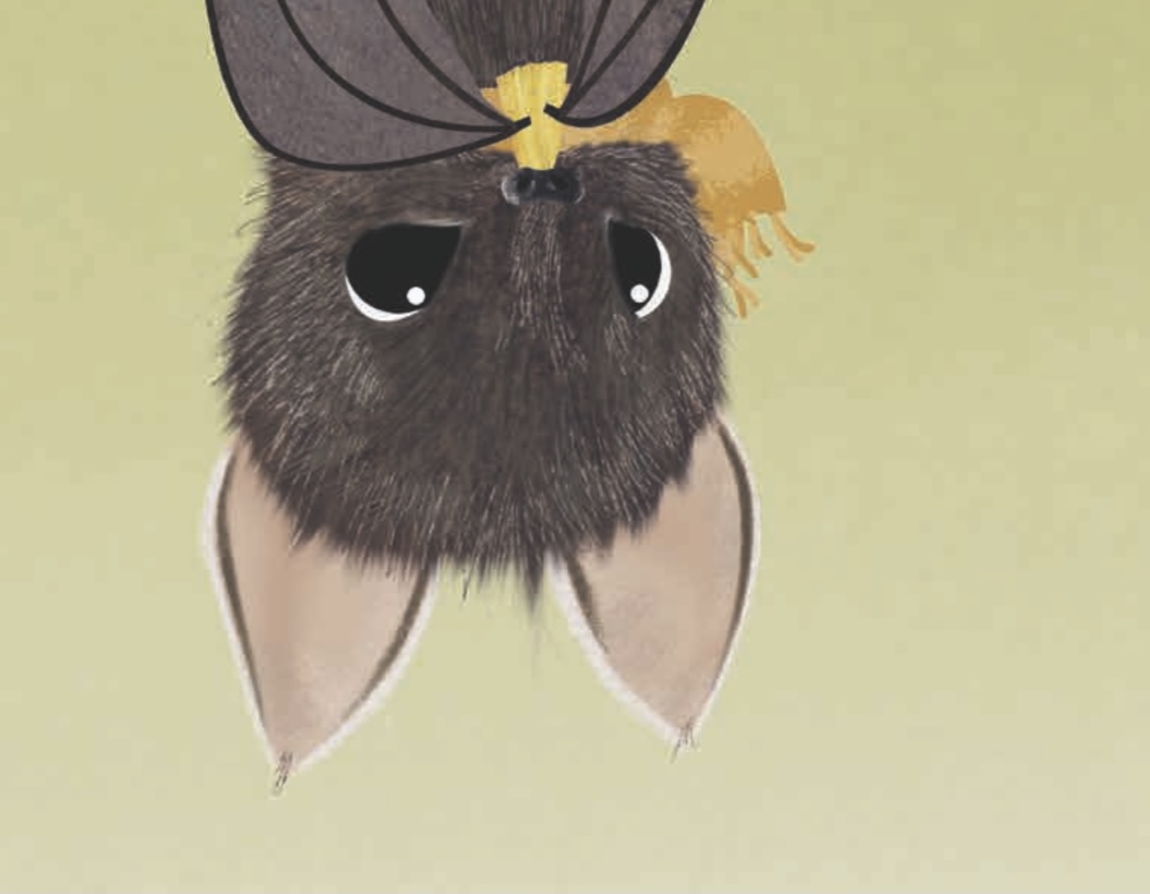 Picture Book Book Club tweet media