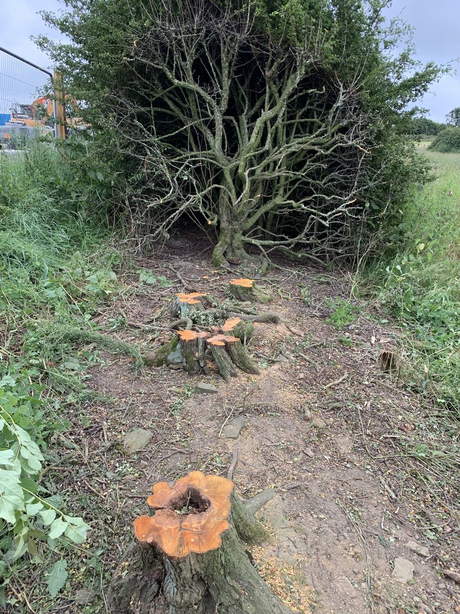 Kirklees Council on Twitter "Good Morning, thank you for your