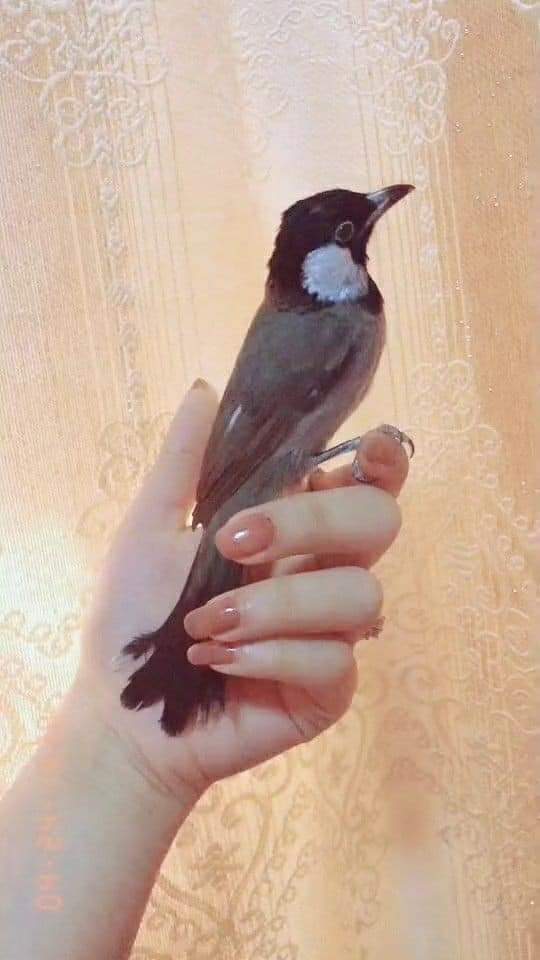 ❤
أزرع
في قلوب
الجميع ❤ شي
يخصك 💋 إن لم يكن
حب ومحبه 💋 فليكن إحتراما
ماأروع جمال المساء ❤ في حضور من نحب