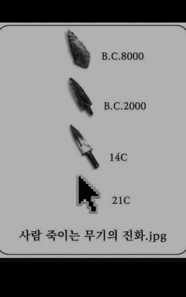 리뷰해적단 tweet media