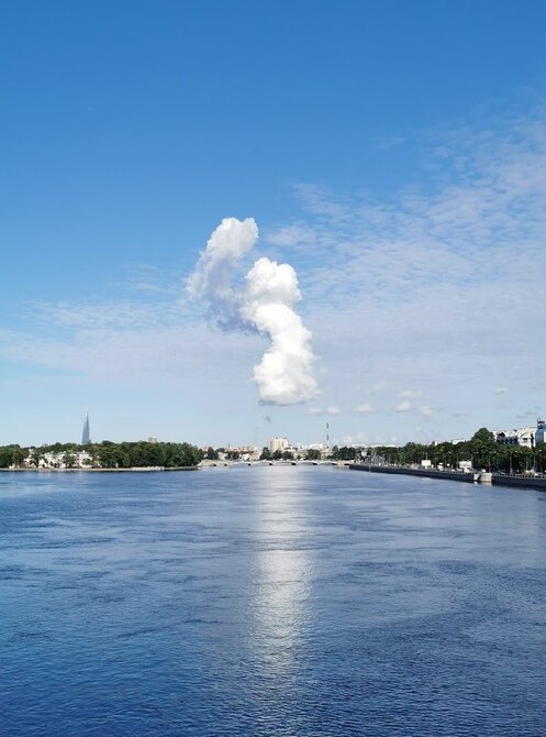 Фонтанка. Новости on Twitter: "В Петербурге и Ленобласти заметили ...