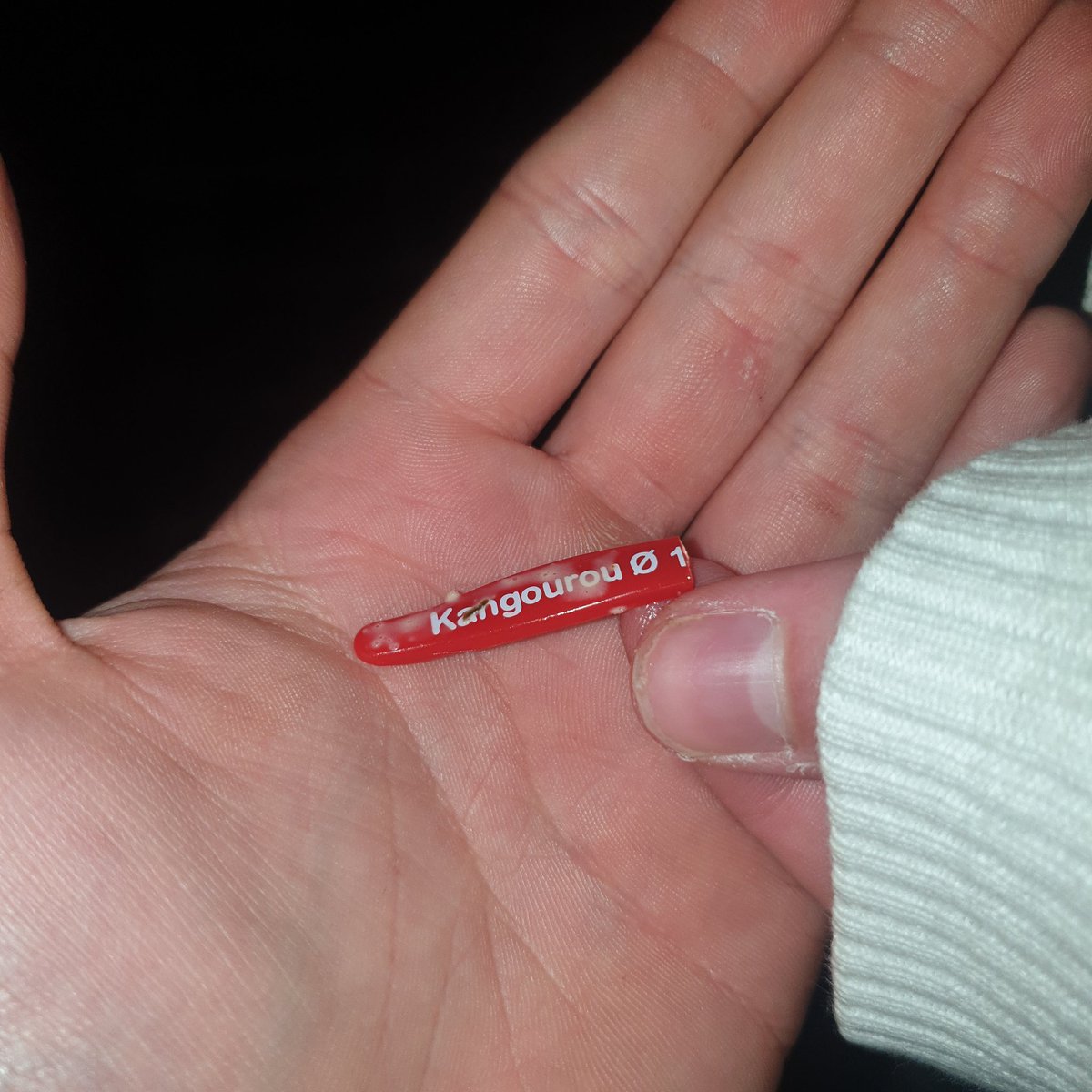 Ik was een snack aant eten en ik geef men laatste hap aan een homie.... ineens haalt die guy dit uit zijn mond