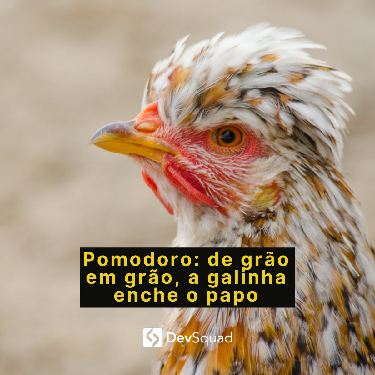 devsquadbr's tweet photo. #Pomodoro: de grão em grão, a galinha enche o papo | No livro “O Discurso do Método”, o segundo preceito que o filósofo René Descartes acredita que deve ser seguido na busca pela “verdade”...Saiba mais sobre a técnica POMODORO.

https://t.co/Sdl0noGGFM #php #laravel #hiring https://t.co/1ZeTFBF2Dk