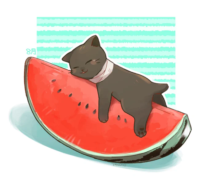 ひんやりスイカベッド🍉 