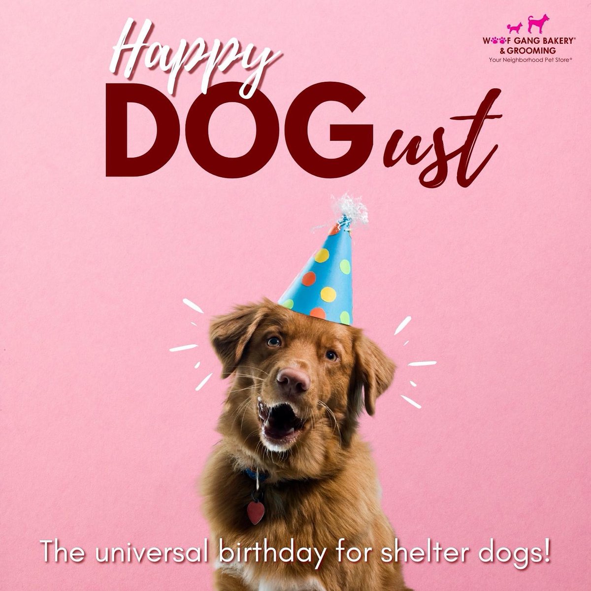 Sharing love to all the shelter pups! 🐾August is the universal birthday month for the special dogs 🐶 #dogust