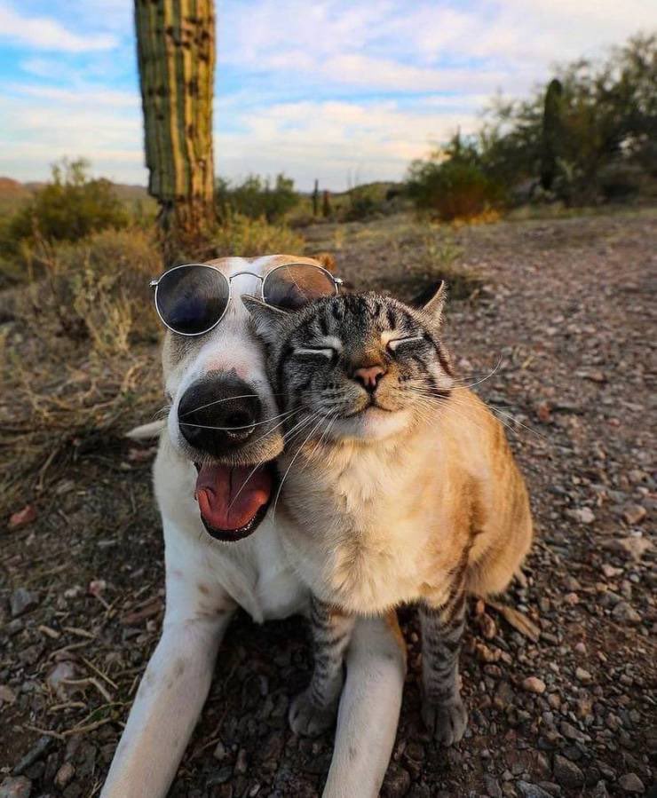 cute_kitten_bot's tweet photo. https://t.co/LKz9QGELKU
