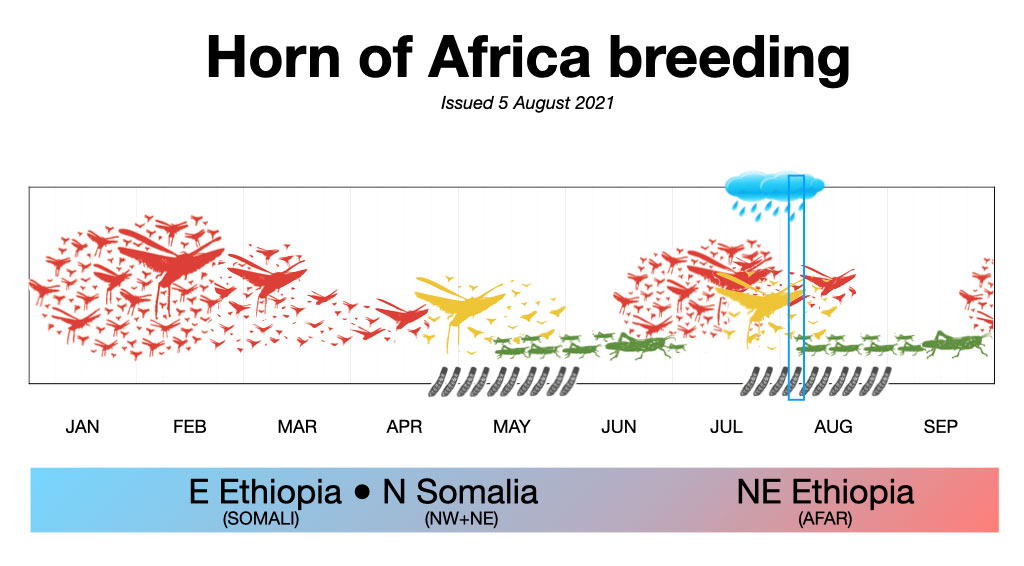 Breeding is likely to be underway in areas of good recent rainfall in NE Ethiopia. However, not all areas can be accessed. Similar breeding may also be in progress in southern Djibouti. 

Latest #DesertLocust update👉🏽bit.ly/34AntyO