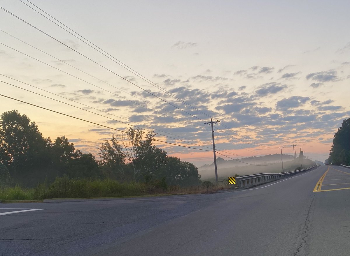 Melinda Fortner tweet media