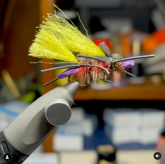 FarmsWhiting's tweet photo. Looks fun to fish tied by @son_tao
Chubby Amy 🤷🏻
.
.
#flytying #flyfishing #troutflies #on the fly #troutbum #flyfishingaddict #trout #troutfishing #flyfish #pesca #pescaconmosca #dryfly #dryordie #hopperdropper https://t.co/bpt234rXVG
