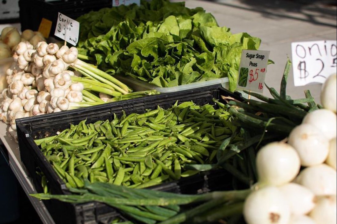 Shop tomorrow 9-1 in The Parkway.