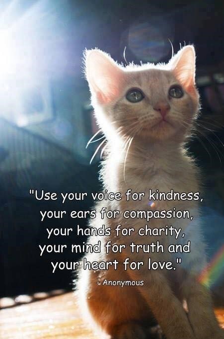 Margie Shafer (@margieshafer) on Twitter photo 