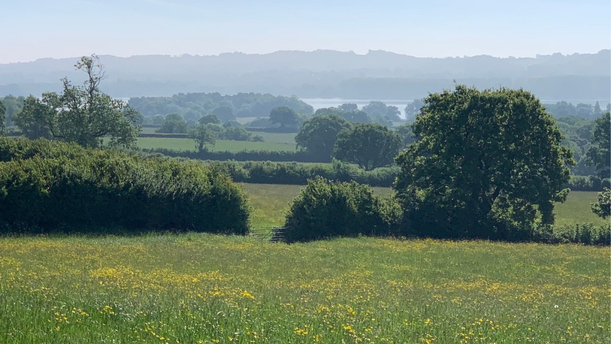 Farm Wilder tweet media