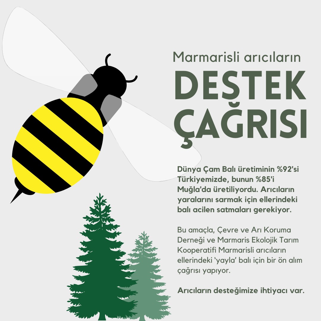 Marmaris'teki arıcılar için:
Marmaris Ekolojik Tarımsal Kalkınma Kooperatifi ve Çevre ve Arı Koruma Derneği'nin koordine ettiği Marmarisli arıcıların ellerindeki kekik ve geven balı için ön alım çağrısını yaygınlaştıralım.💪🐝💚 
carik.org.tr