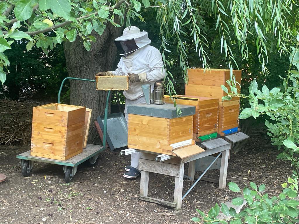 Meine Kinder haben gestern 175 Kilo Honig geschleudert #OeNR #OeBH #GEBÖS # einfach toll