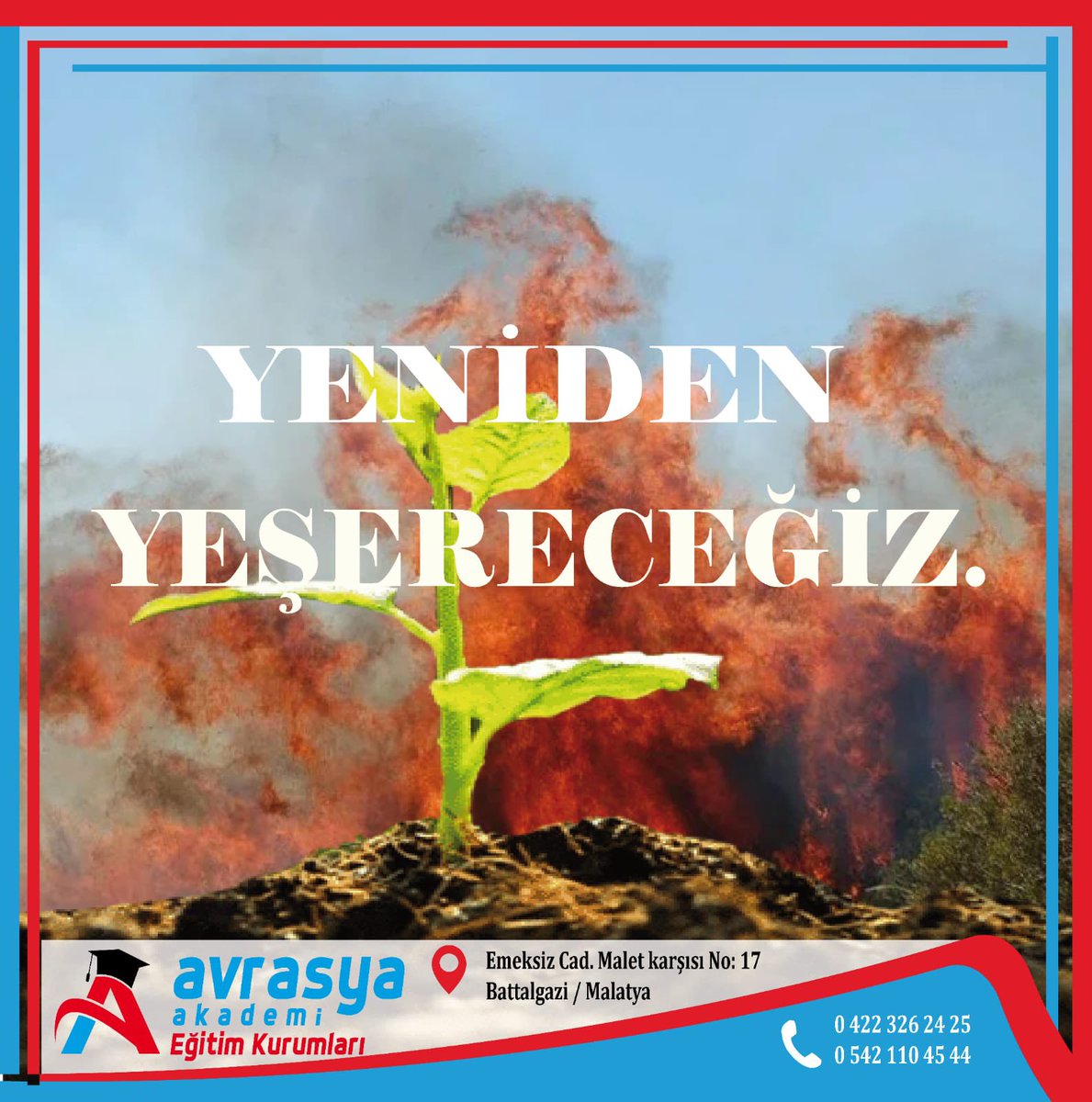 basrinehir's tweet photo. Daha da güçlenerek köklerimizi daha derinlere bırakarak.. https://t.co/M1qABGE3PE