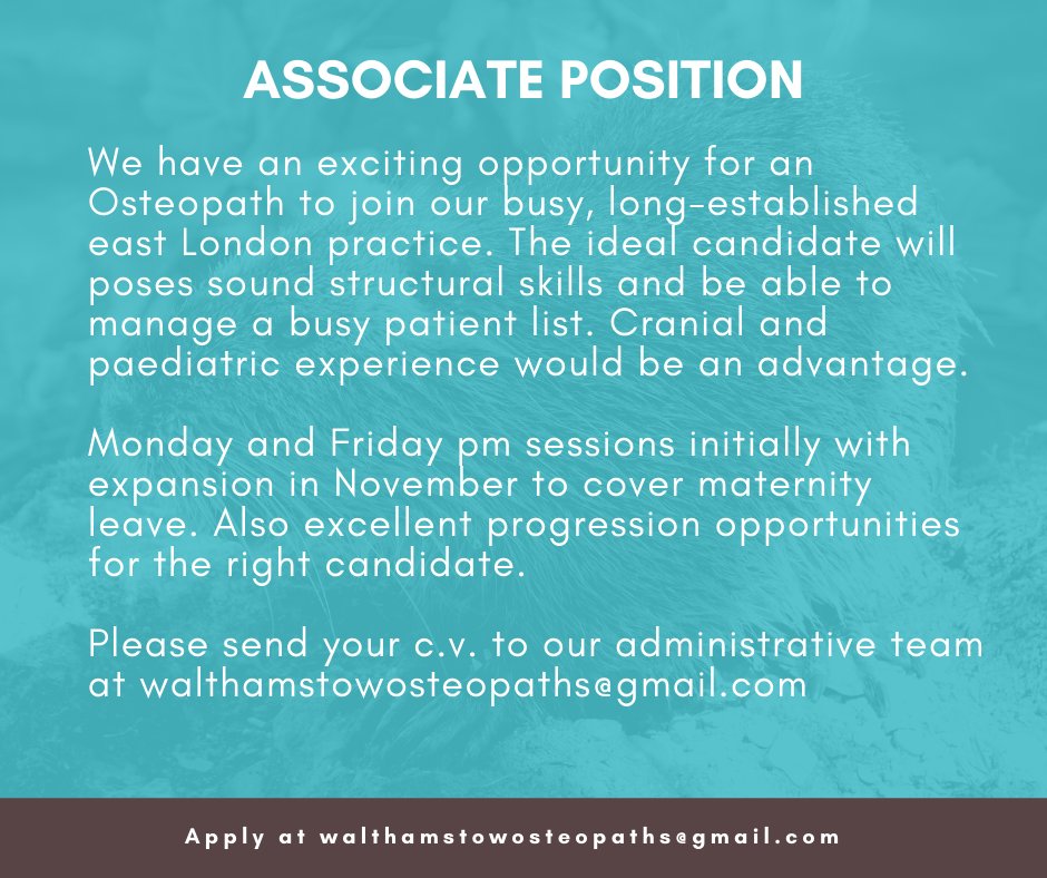 WalthamOsteo's tweet photo. Looking for a new job? We are very excited to be able to offer a superb opportunity for any passionate osteopath with the right skills. #osteopathy #jobvacancy #wearehiring #E17 #Walthamstow #Leyton #Chingford #Leytonstone #HighamsHill https://t.co/gChkfEgtcw