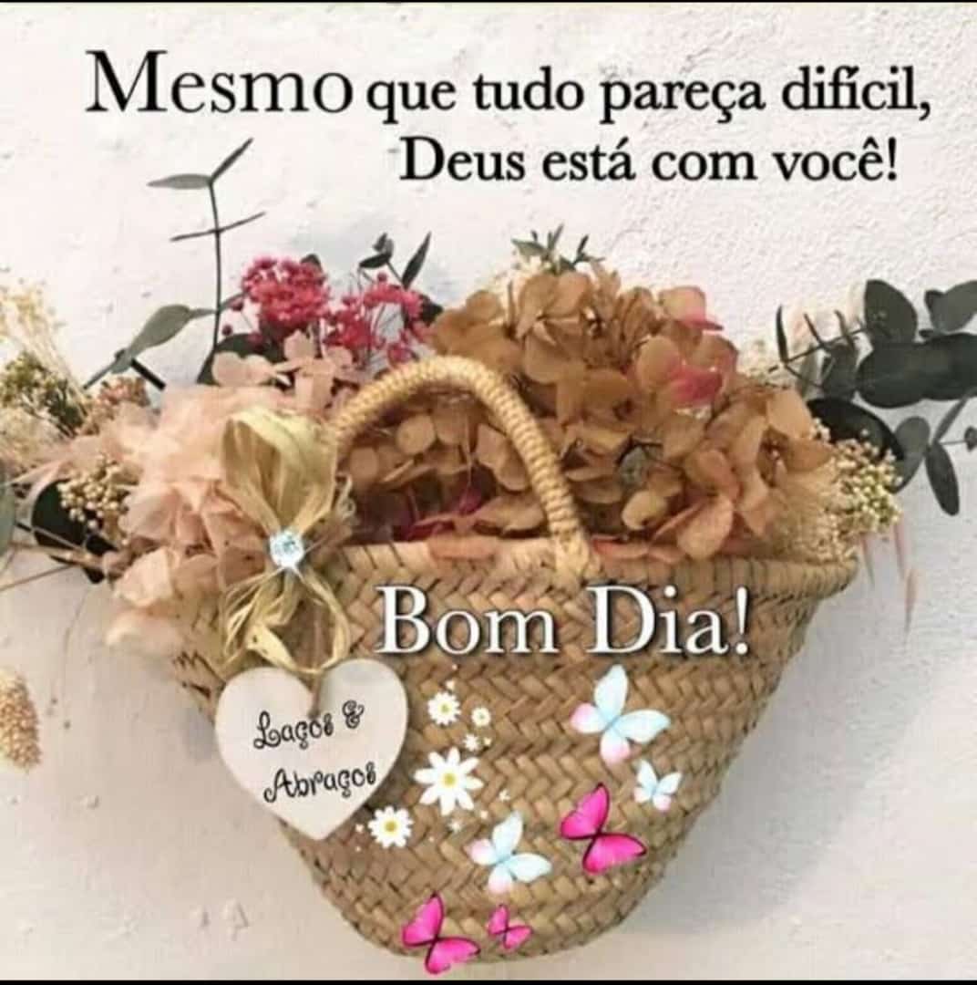 Rodrigo Silva al Twitter: Rodrigo Silva al Twitter:
