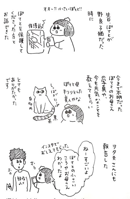 夫婦エッセイ を含むマンガ一覧 ツイコミ 仮 夫婦エッセイ を含むマンガ一覧 ツイコミ 仮
