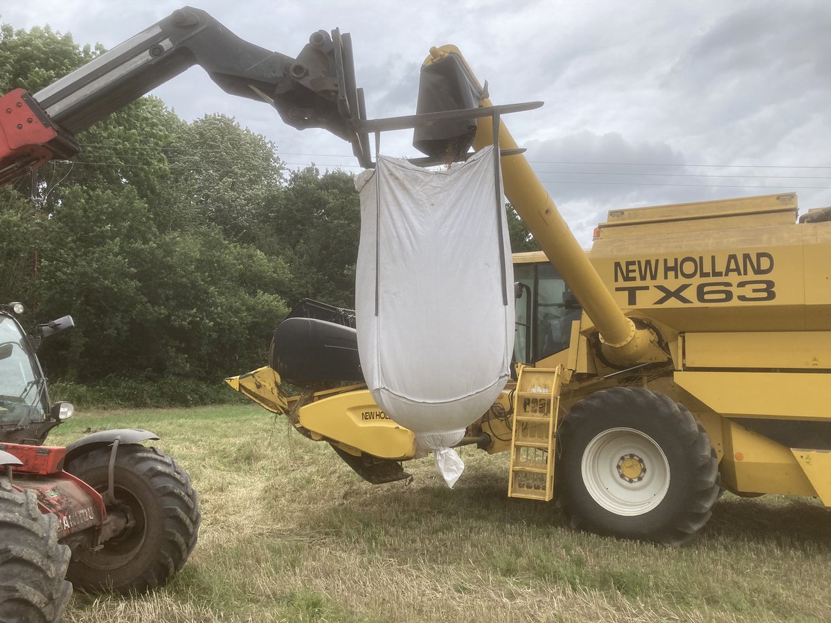 GreenAcres_Farm's tweet photo. Rain strongly forecast but we’re snatching the #livewheat organic trials for @OrgResCent - 4 more varieties in the bag! @Ambro_ORC #harvest21 https://t.co/gazHlvjhuA