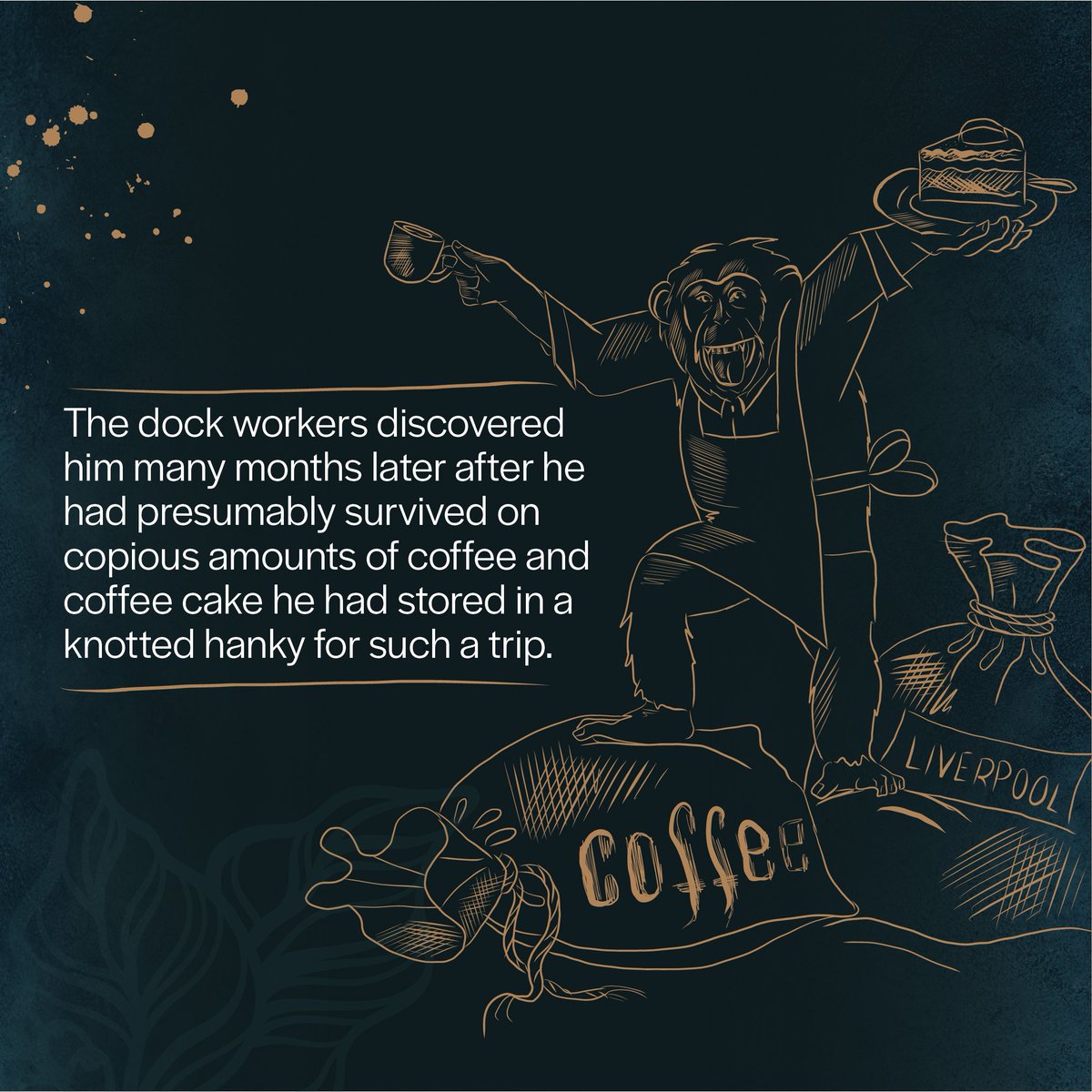 Follow your dreams and anything is possible! Our new app is now launching soon ahead of our grand opening to be announced! #excitingtimes 
#coffeeshopcrosby #theazulmonkey #jamaicianblue #perfectcupofcoffee