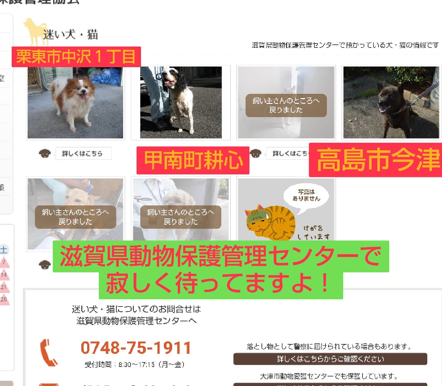 滋賀ランチ Recherche Sur Twitter Twitter
