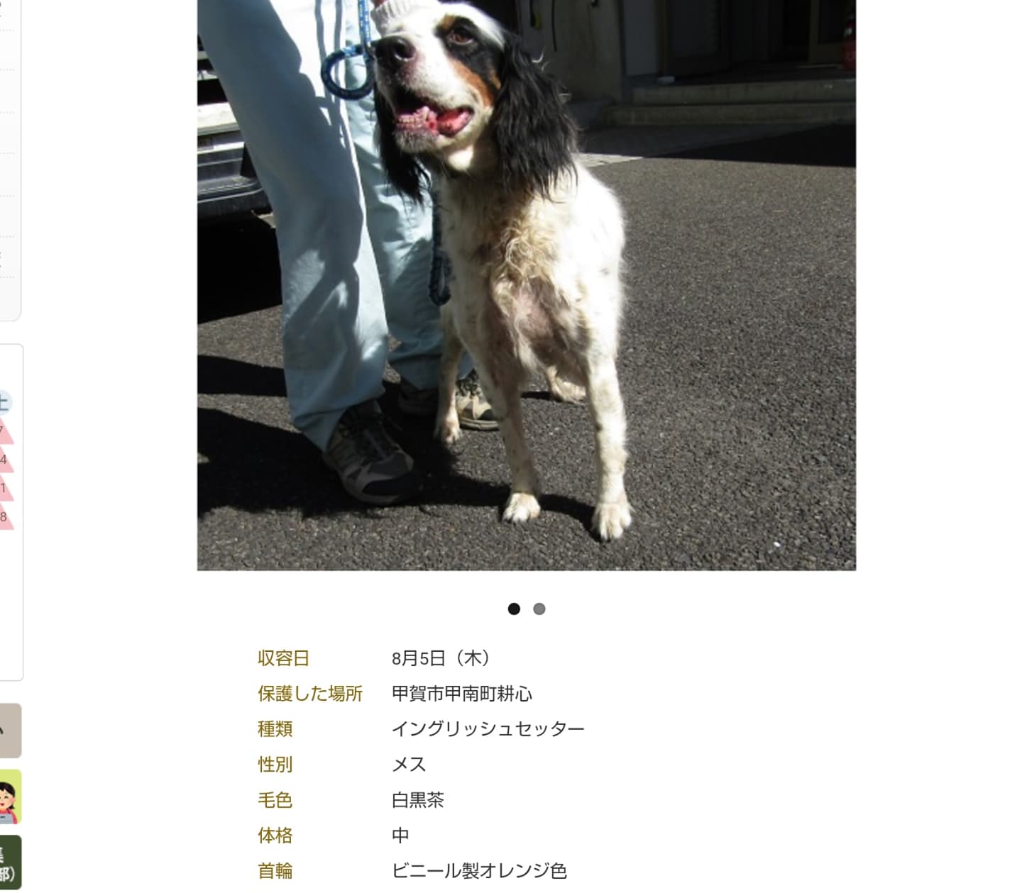 滋賀ランチ Recherche Sur Twitter Twitter