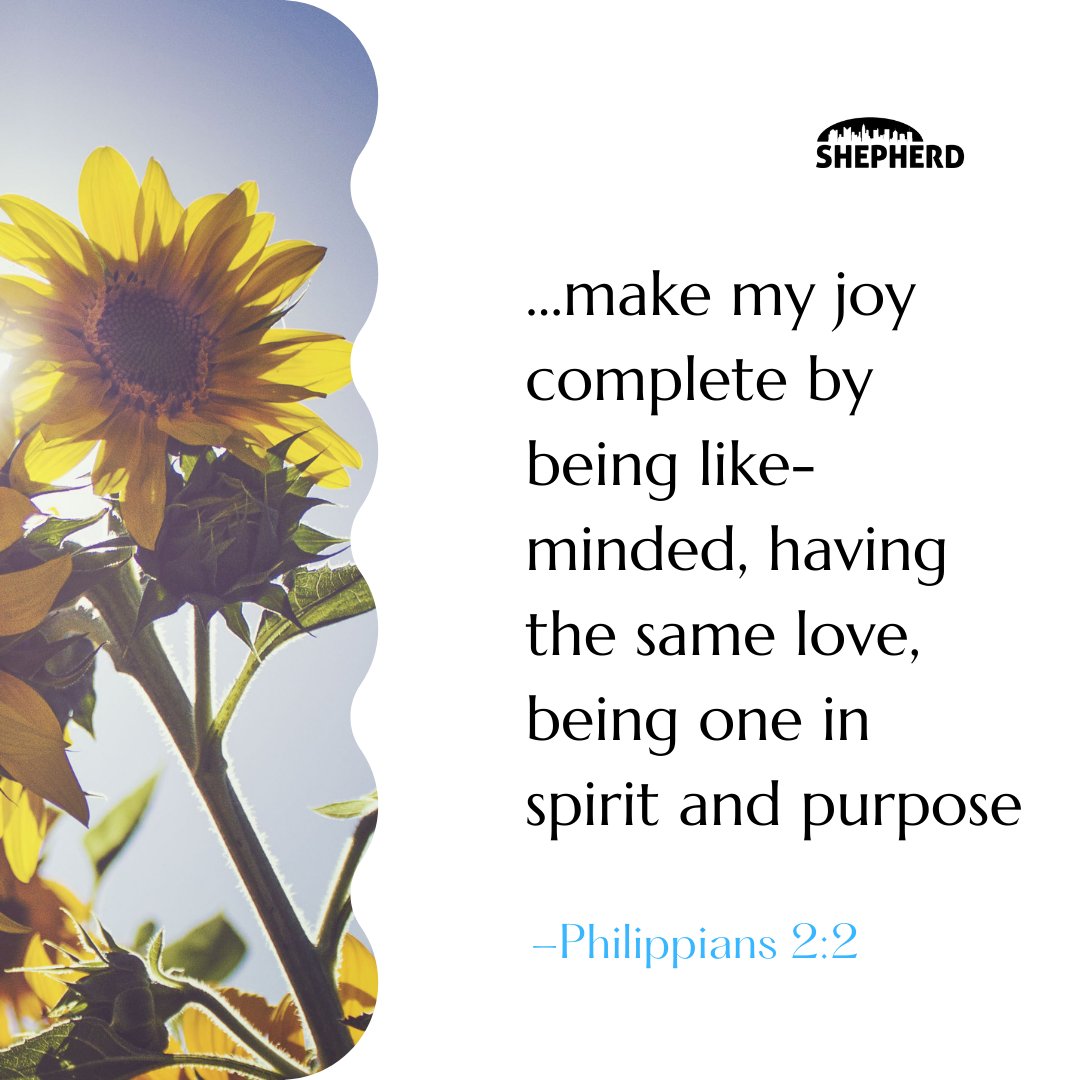ShepNaz's tweet photo. Watch the latest message in the Joy Unstoppable series here: https://t.co/Xp8SZ9zlxw https://t.co/b2xEIdZccD