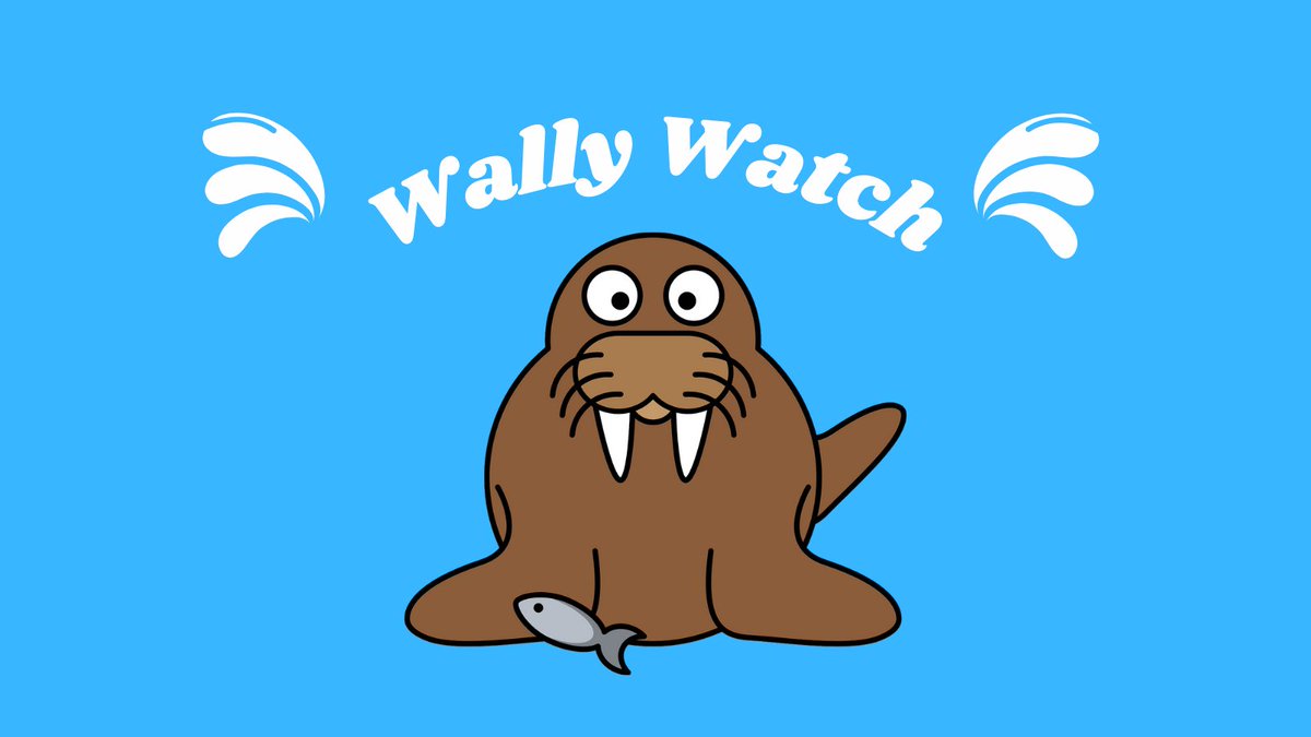 sdalywriter's tweet photo. Wally Watch! #Wally the walrus, first spotted on #Valentia Island in SW #Ireland in mid-March has now turned up in the seaside town of #Ardmore in #Waterford in the SE after an epic 4,000-km trip to #Wales, #England, #France, and even #Spain.

#theevolutionofireland #nature #sea https://t.co/6BFjuFLV4p