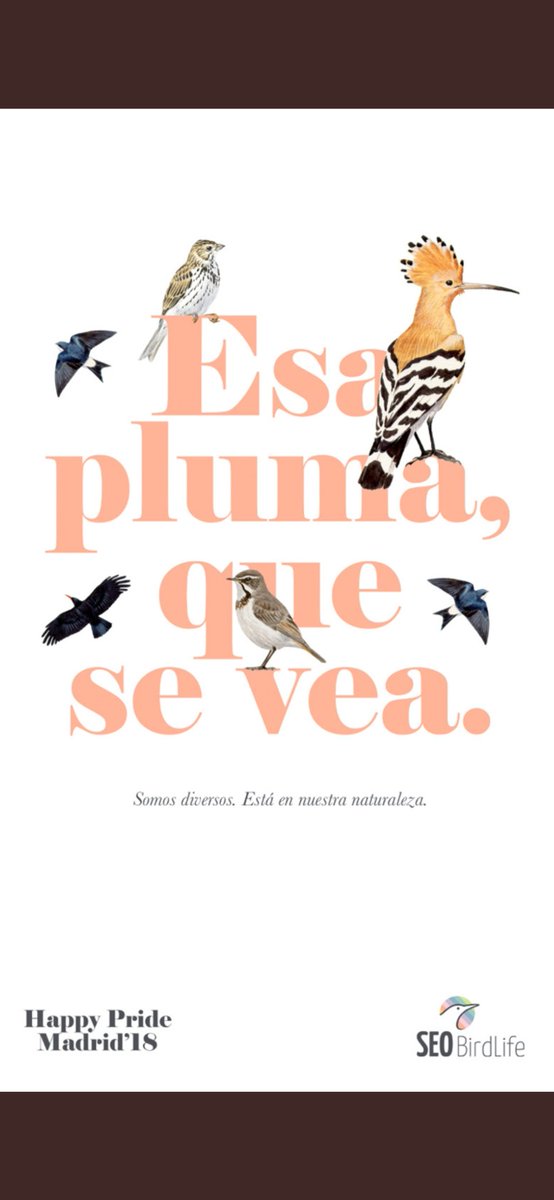 Donde esté un buen <a href="/HuesitosEs/">Huesitos</a> ......