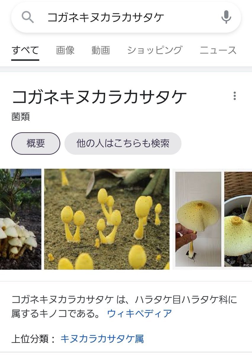 ししみ Jc3yis Twitter